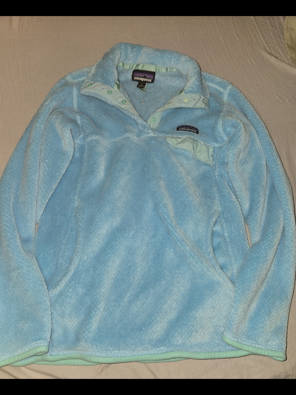 Patagonia Women’s Light Blue Fleece Pullover